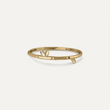 ANILLO BAMBÚ