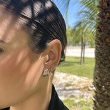 PAR PENDIENTE BROMELIA PLATA