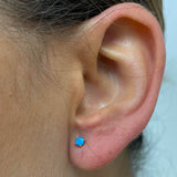 TURQUOISE CLAW EARRING